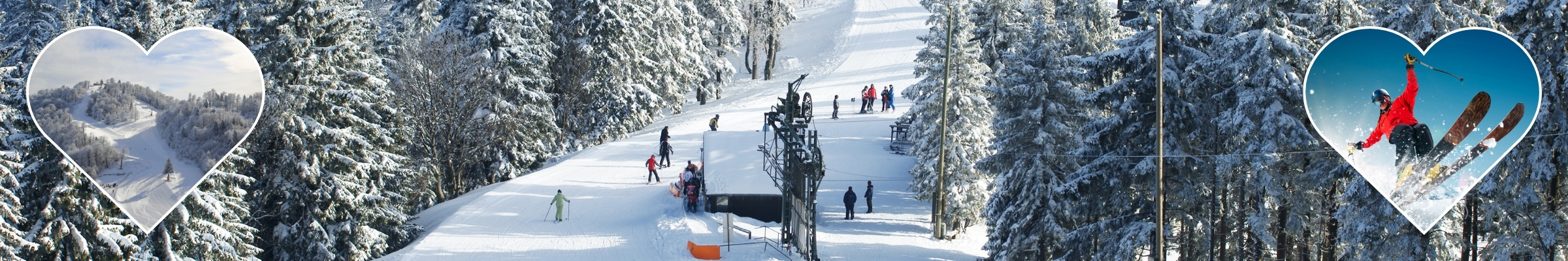 Kartepe Turları