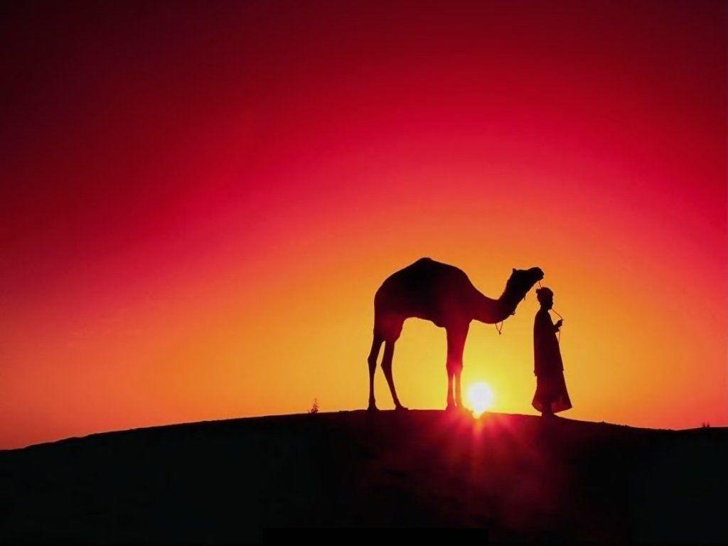 Galeri