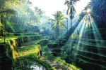 Rüya Ada Bali - Ubud Turu 5 Gece Türk Havayolları İle Kurban Bayramı Özel